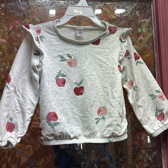 Girls Carter’s 3A Sweatsuit Loungewear Pajamas Twin Set Apple Print Comfy Kids - Picture 3 of 6